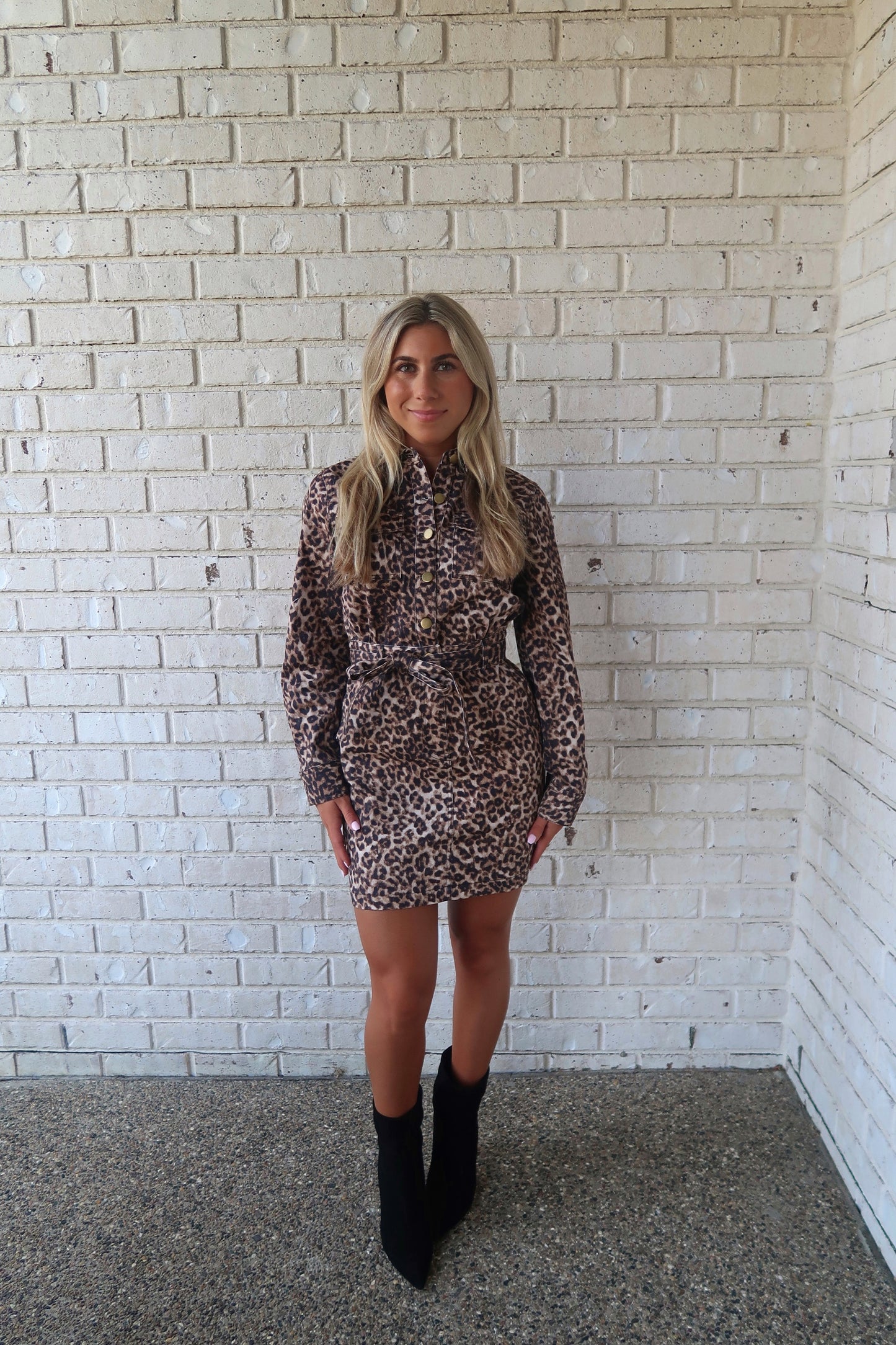 Leopard Mini Dress