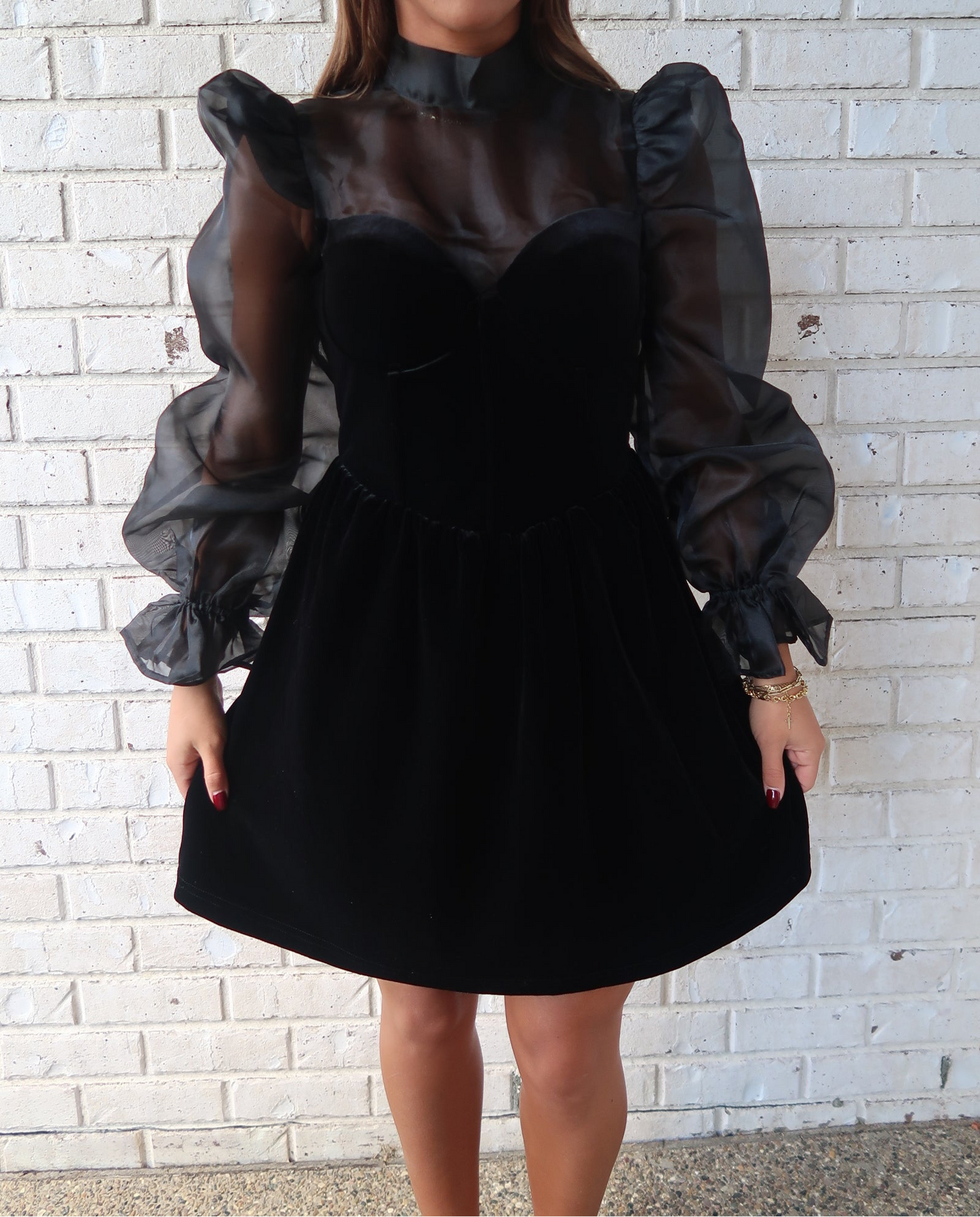 Organza Sleeve Velvet Mini Dress