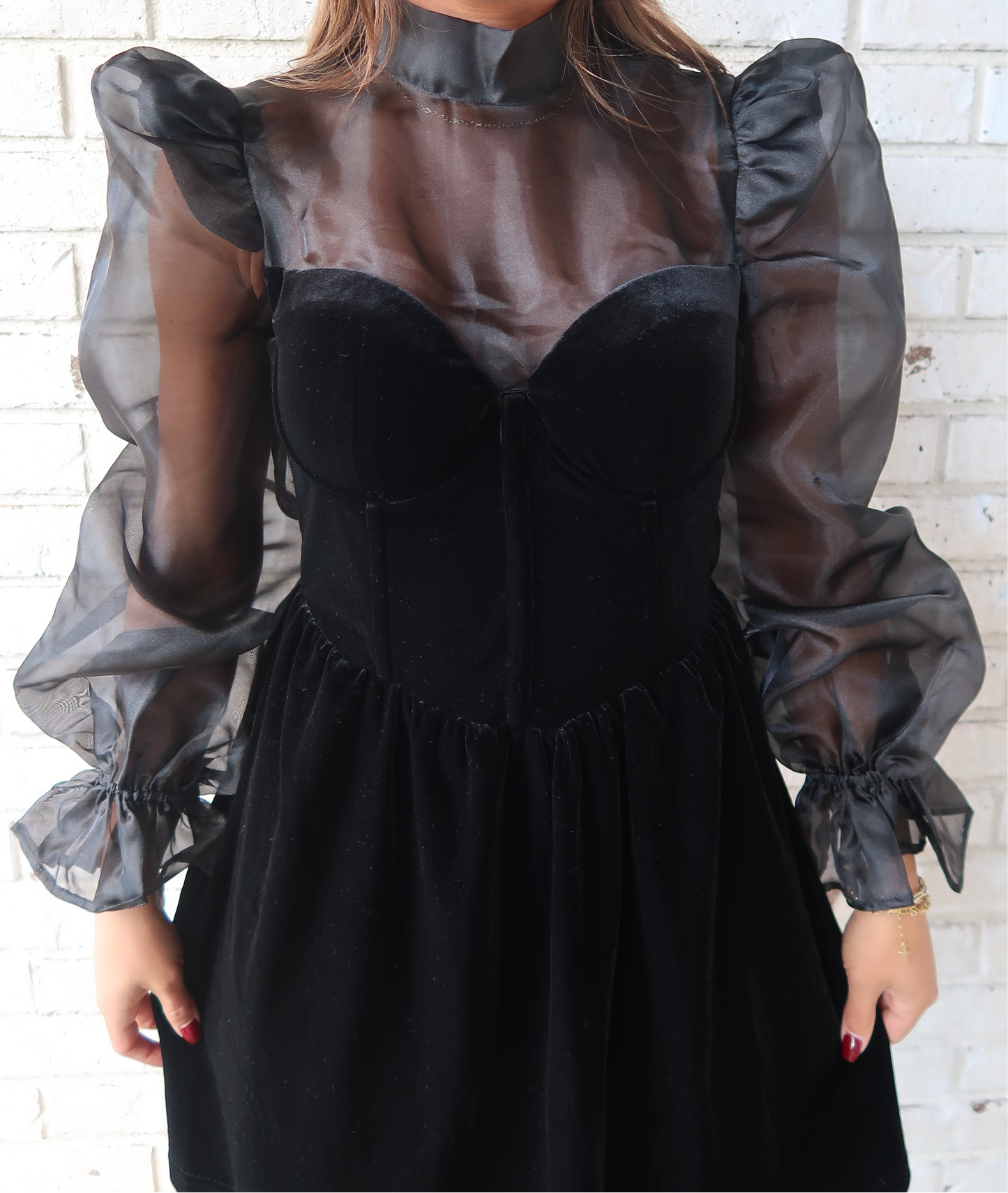 Organza Sleeve Velvet Mini Dress