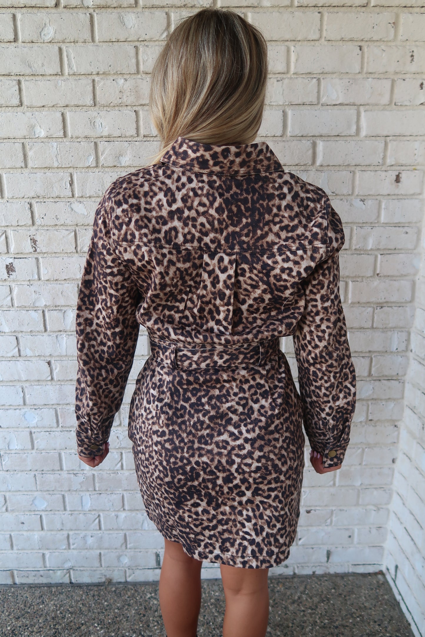 Leopard Mini Dress